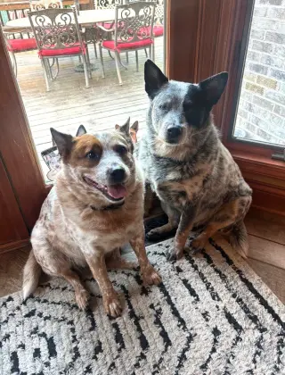 Waylon and Cash