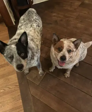 Waylon and Cash