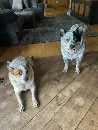 Waylon and Cash