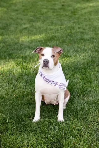 Bella Donna