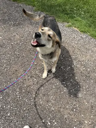 Tilly