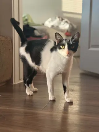 Mary Bug