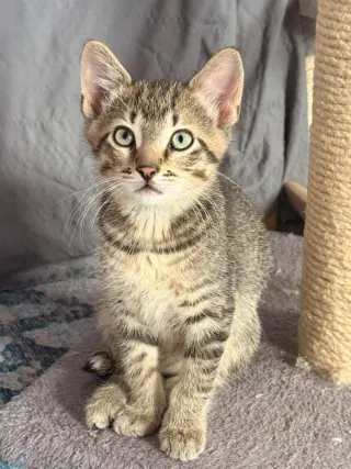 Oliver / Clark
