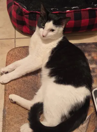 Petey