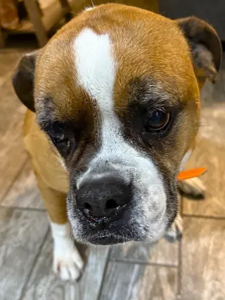 Zoey XII