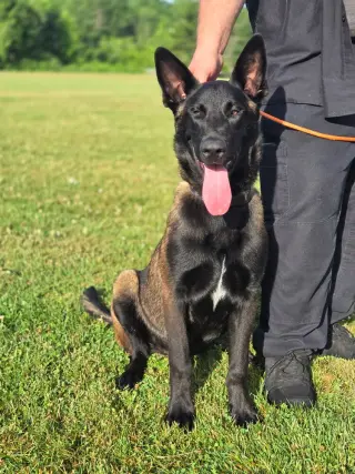 Bruno - Located in VA