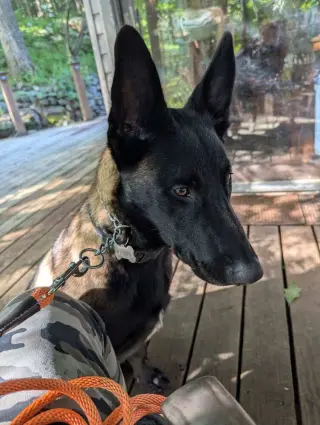Bruno - Located in VA