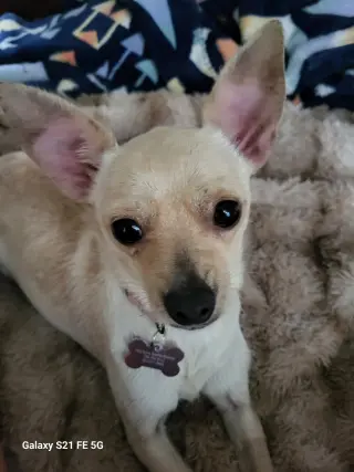 Ruthie