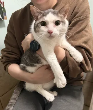 Mama