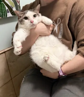 Mama