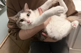 Mama