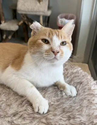 Marley