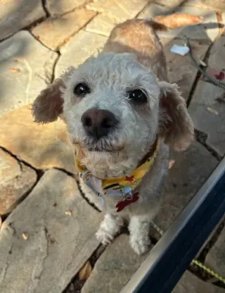 Bella