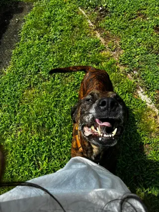 Molly
