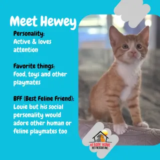 Hewey & Louie