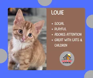 Hewey & Louie
