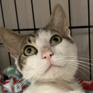 Charlie
