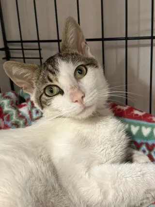 Charlie