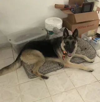 Max