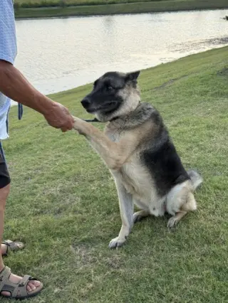 Max