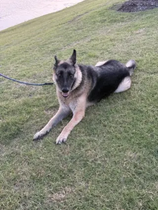 Max
