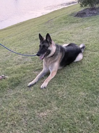 Max