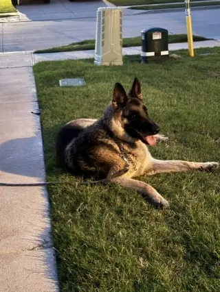 Max