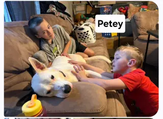 Petey Dixon