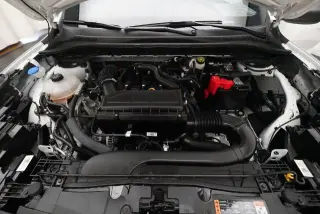 Ford Escape 2024 AWD ST-Line 4dr SUV