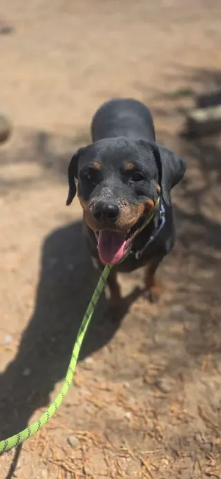 Coco