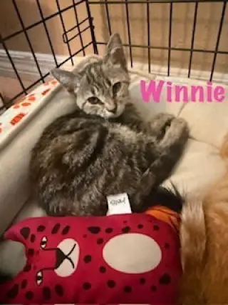 Winnie