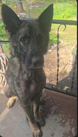 Bodie located in Missouri