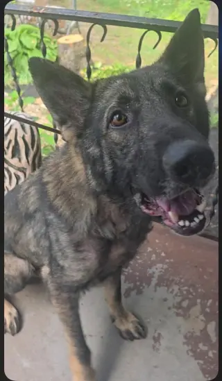 Bodie located in Missouri