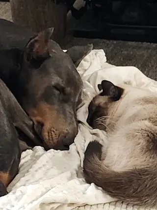 Rue adoption pending!