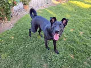 Tilly