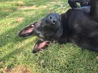 Tilly