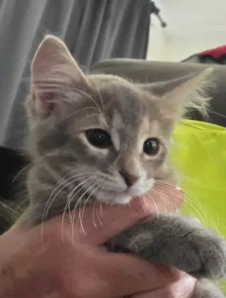 Smokey Girl