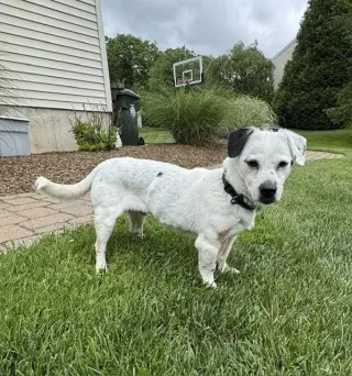 Monty NJ