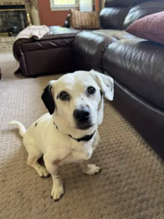 Monty NJ