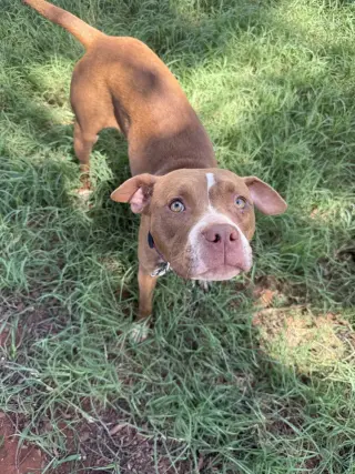 Coco