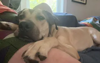 Luna