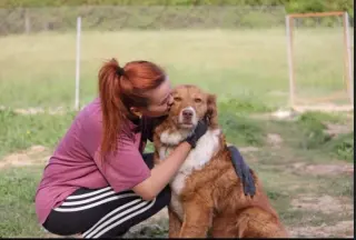 Kuqo Albania