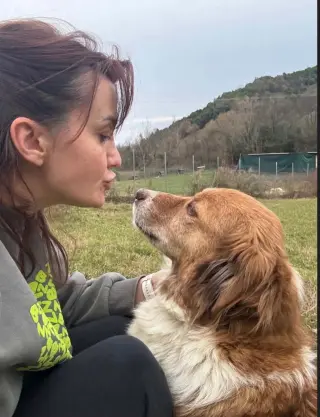 Kuqo Albania