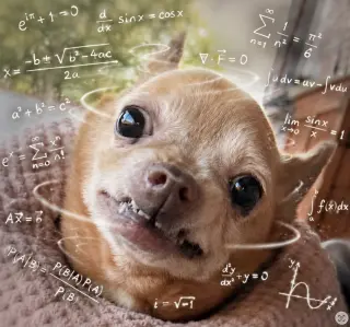 Chewy
