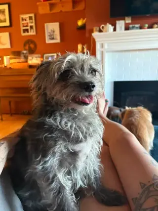 Luna