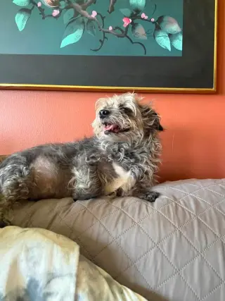 Luna