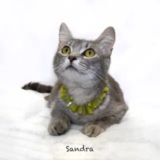 Sandra
