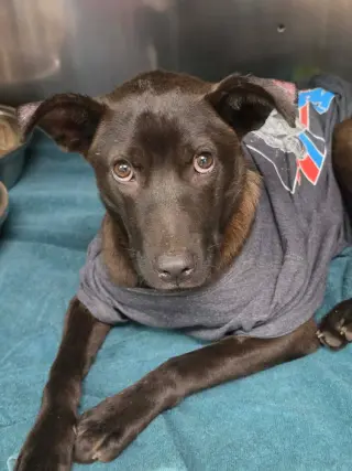 Ernie