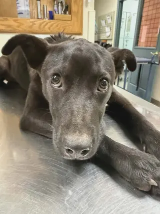 Ernie