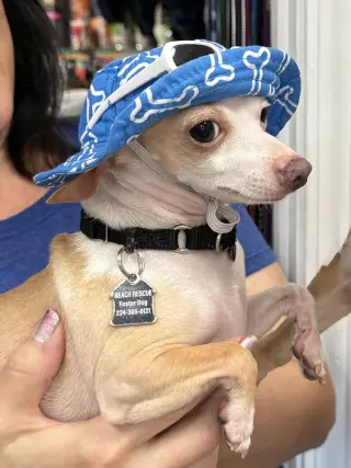 Scoops